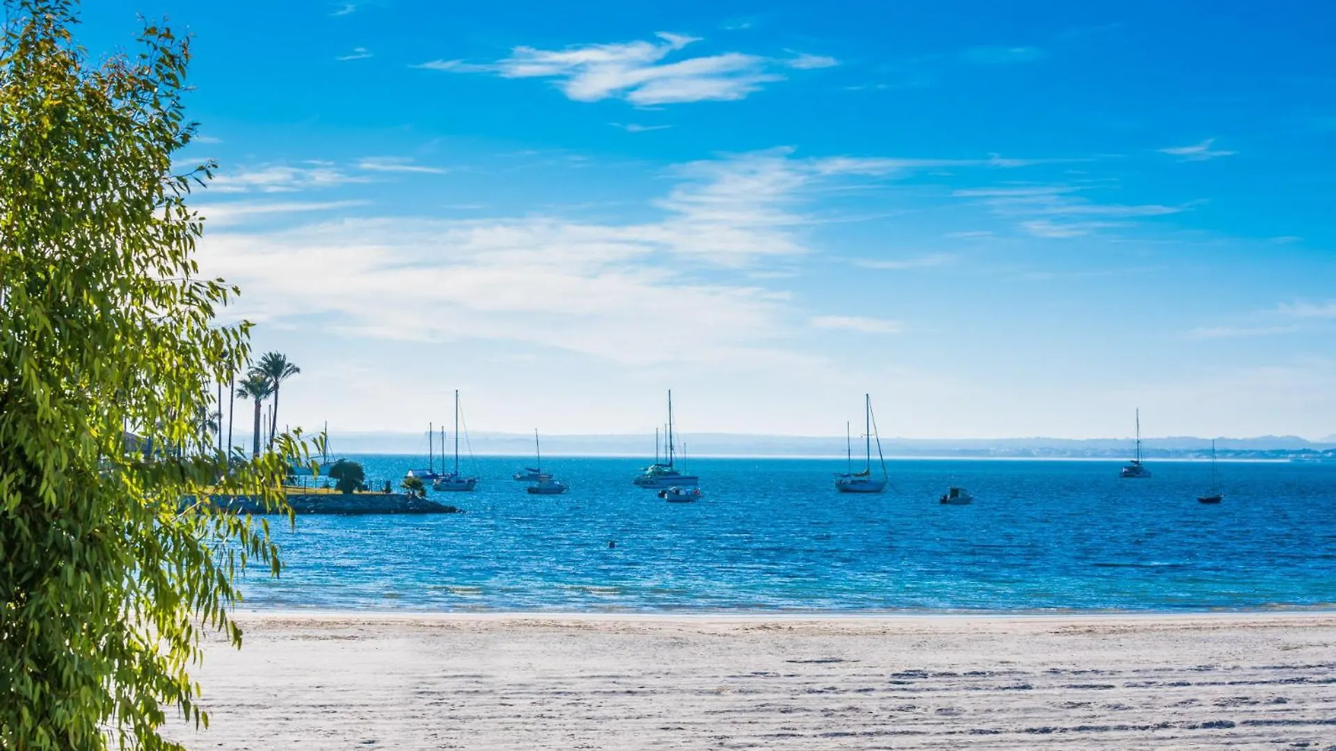 Ideal Property Mallorca - Concha 2 Pax 알쿠디아